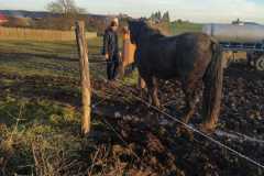 WhatsApp-Image-2022-12-30-at-17.00.34