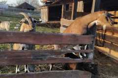 WhatsApp-Image-2022-12-30-at-17.01.33