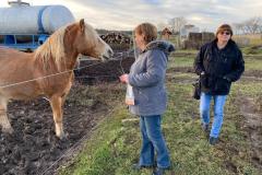 WhatsApp-Image-2023-01-10-at-08.57.26