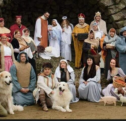 Koledování v roce 2020